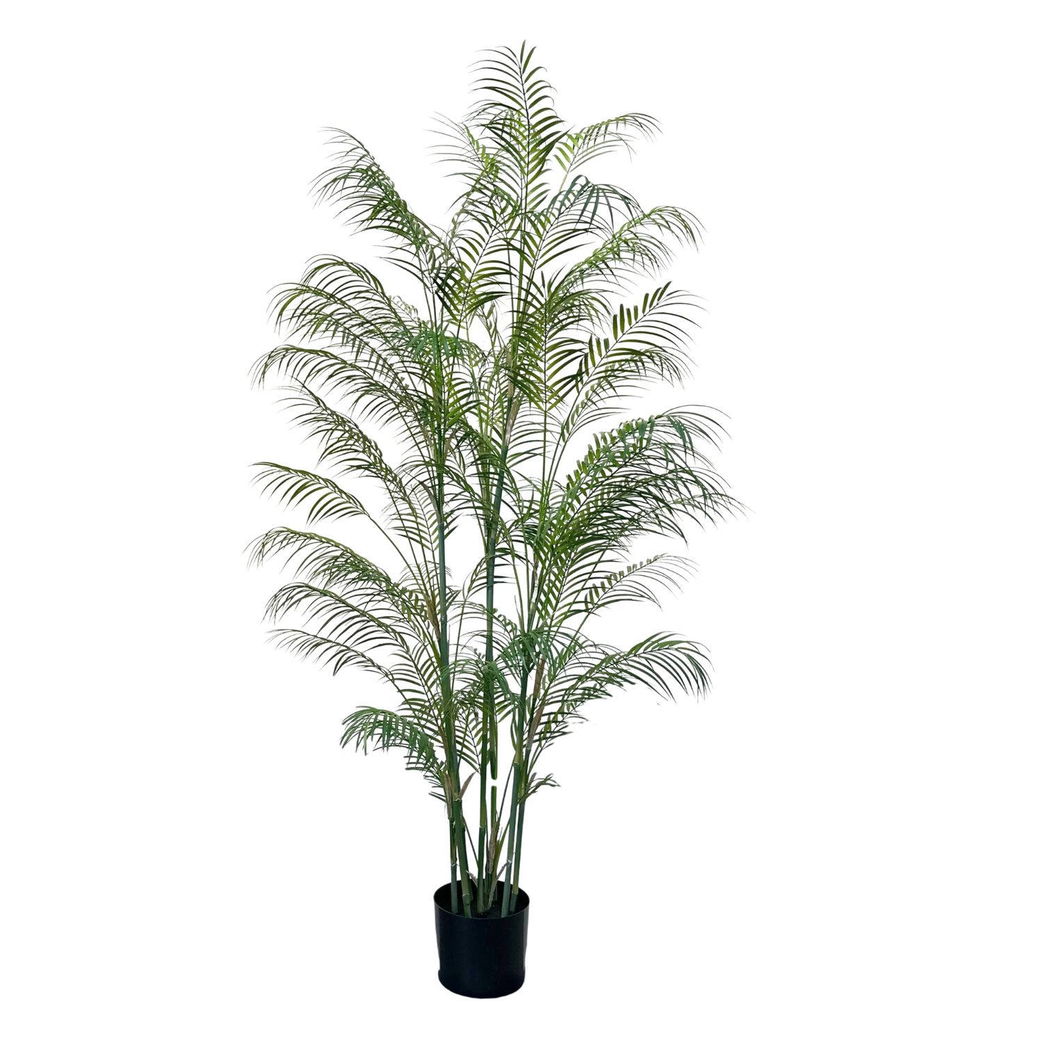 Palm brandvertragend 180 cm