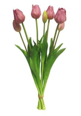 Classic tulp bundle Mauve