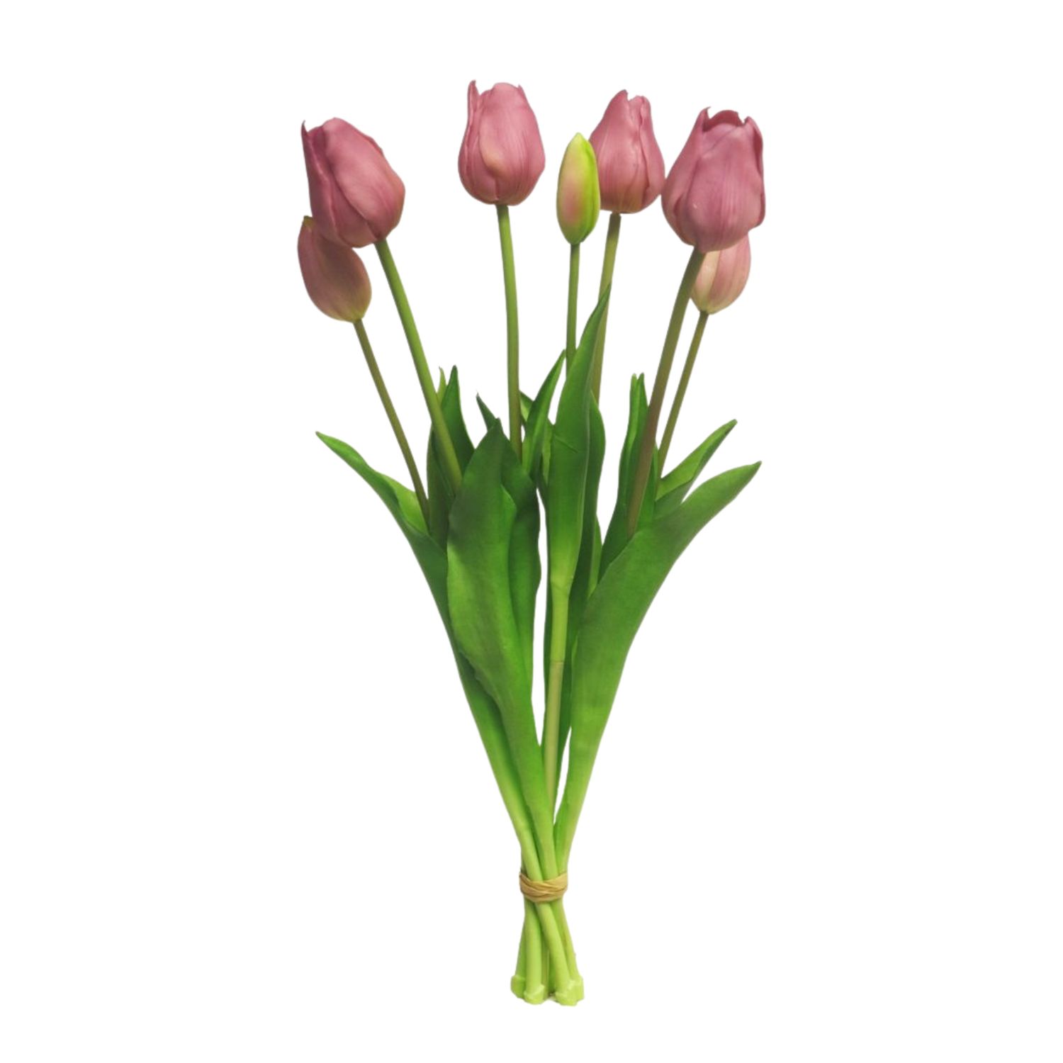 Classic tulp bundle Mauve