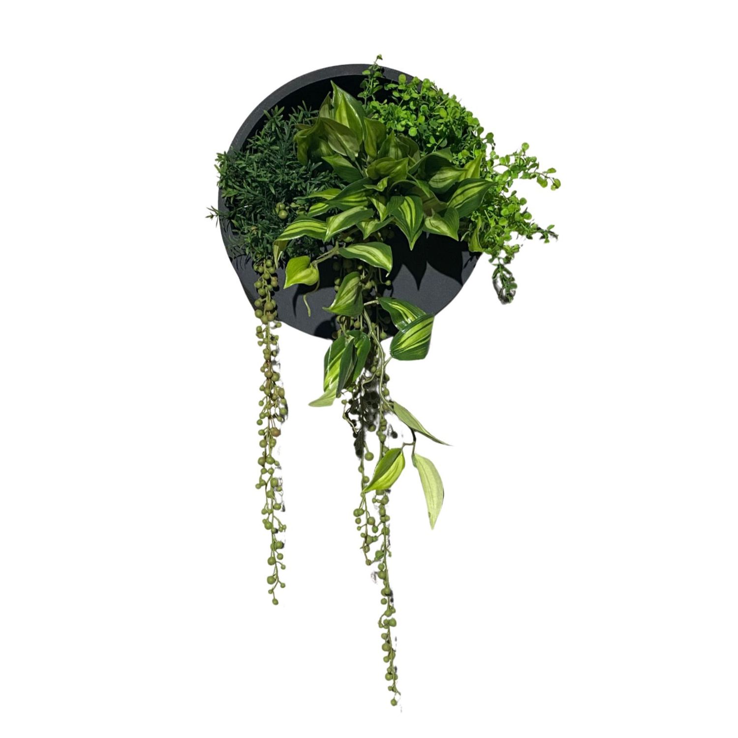 Wandhanger + opmaak, Size: 30 cm (diamater)