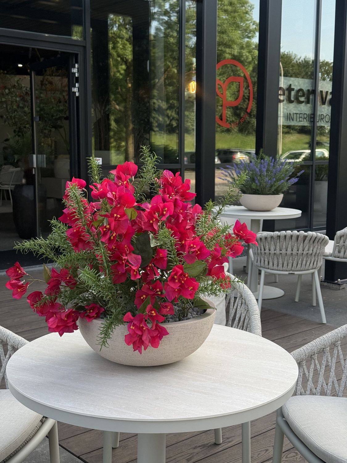 Combi Bougainvillea spray UV- bestendig