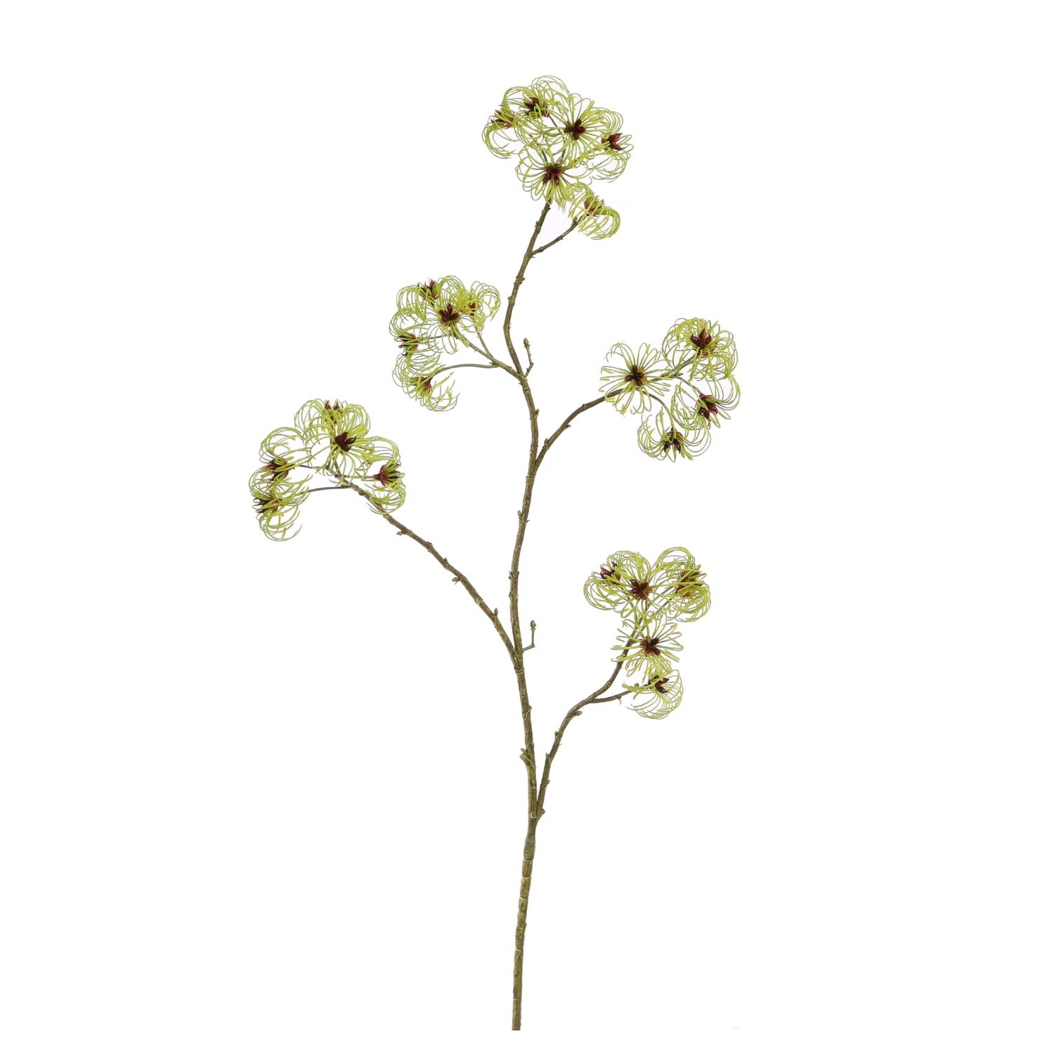 Clematis seed pod green 103cm