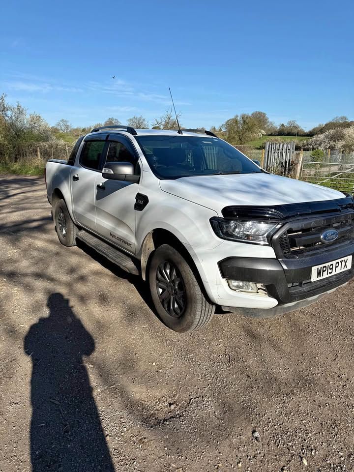 Premium Pre Purchase Inspection WP19PTX