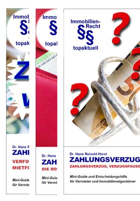 Zahlungsverzug des Mieters – 3 Guides für Vermieter