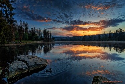 Harz