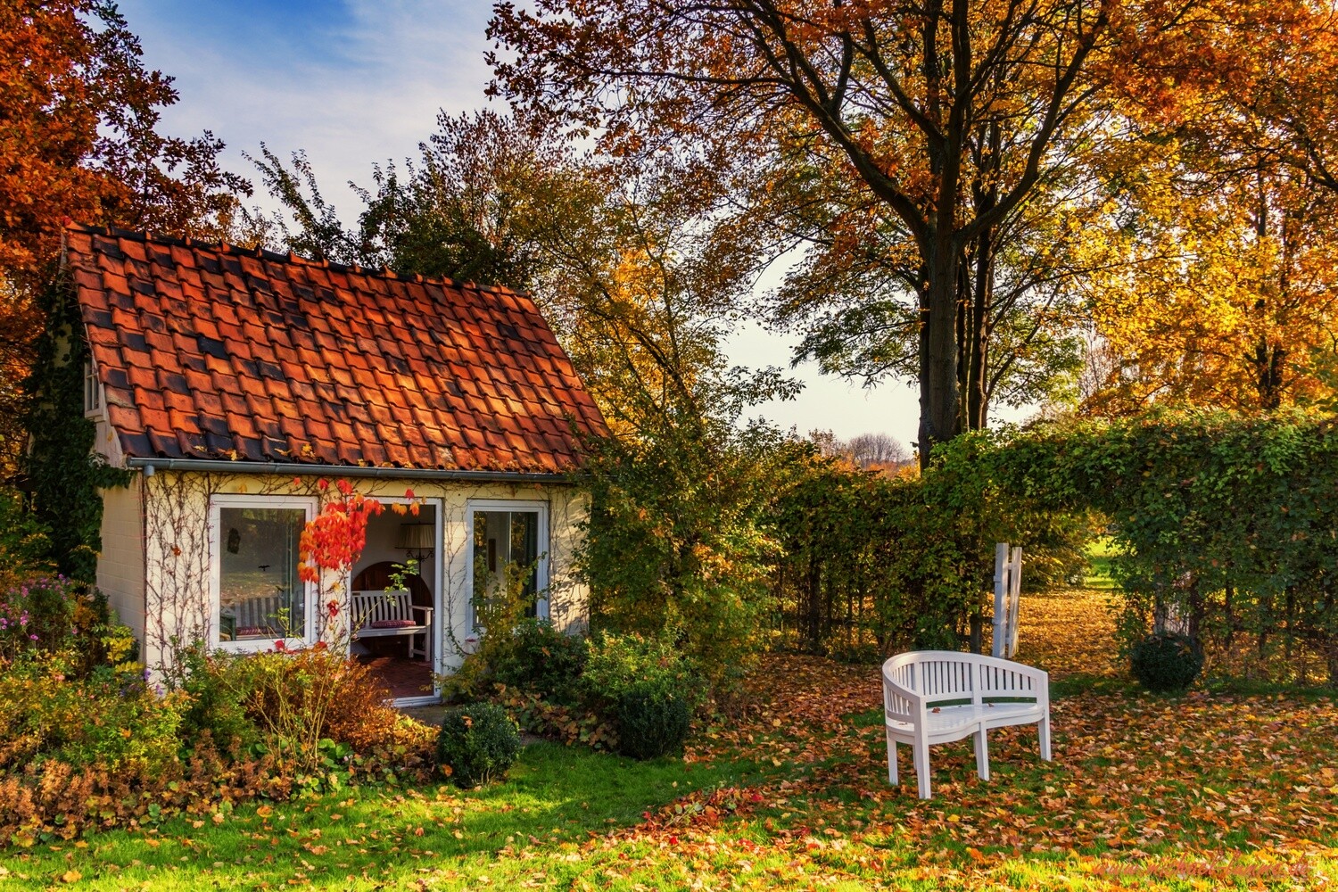 Herbstlicher Park in Wülperode