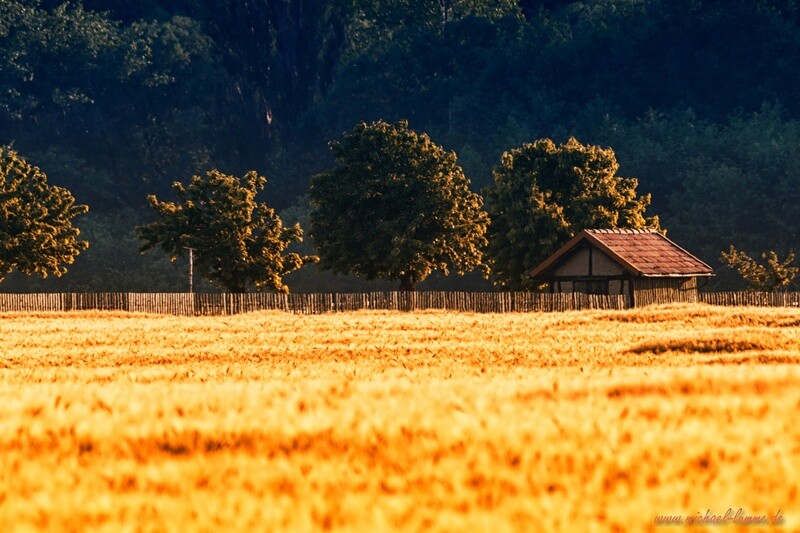 In der Harzer Toskana bei Silstedt