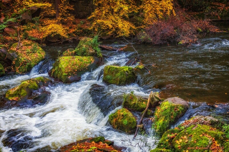 Die herbstliche Bode im Bodetal