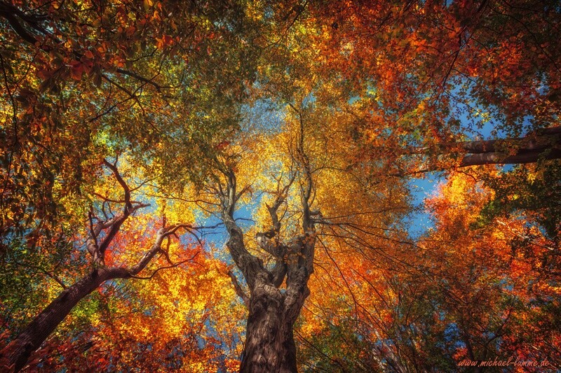 Der Herbstwald auf dem Lumpenstieg