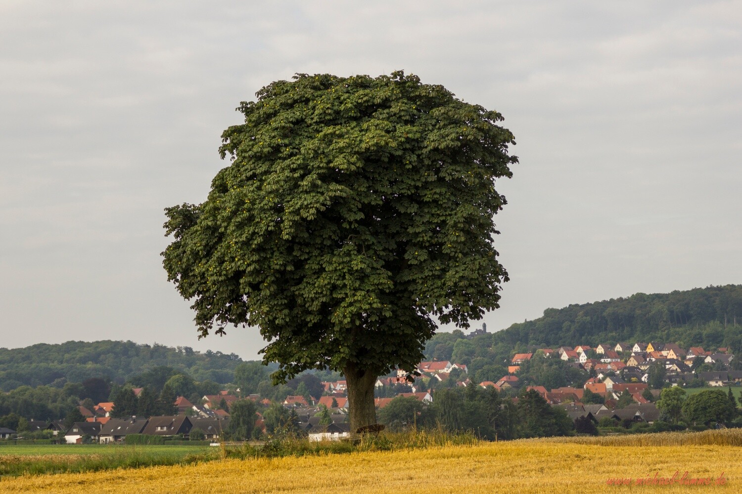 In der Feldmark bei Liebenburg