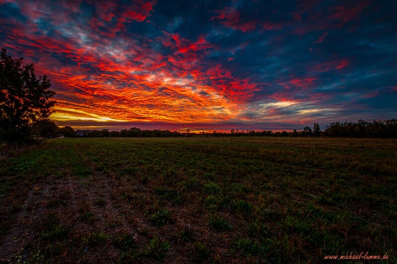 Sonnenaufgang im Spreewald