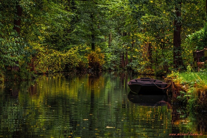 Der Spreewald