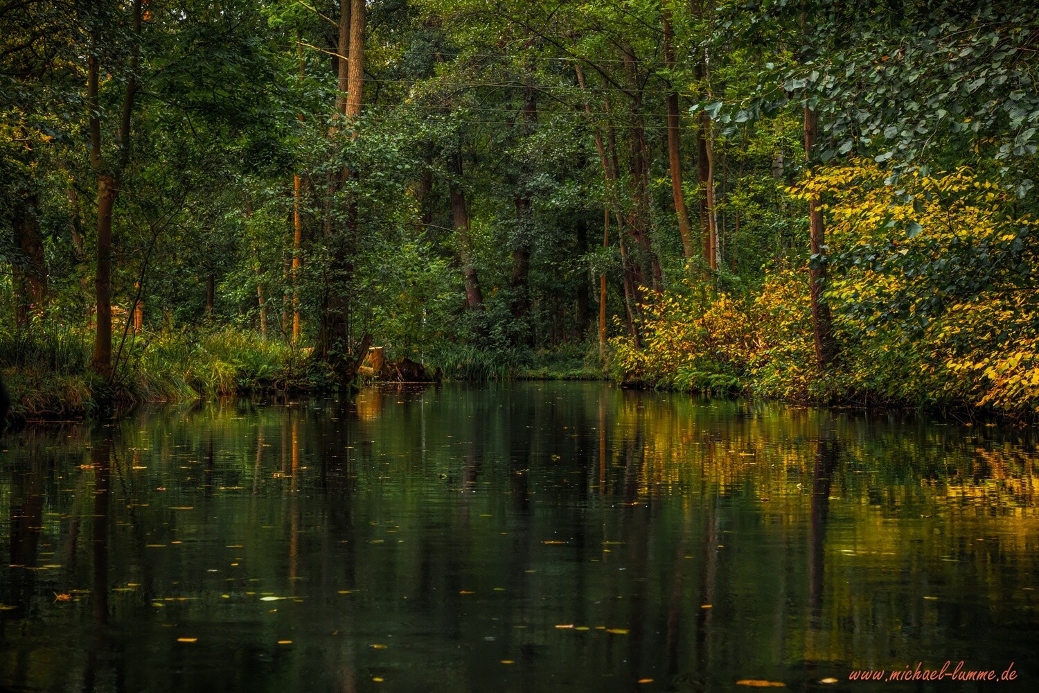 Der Spreewald