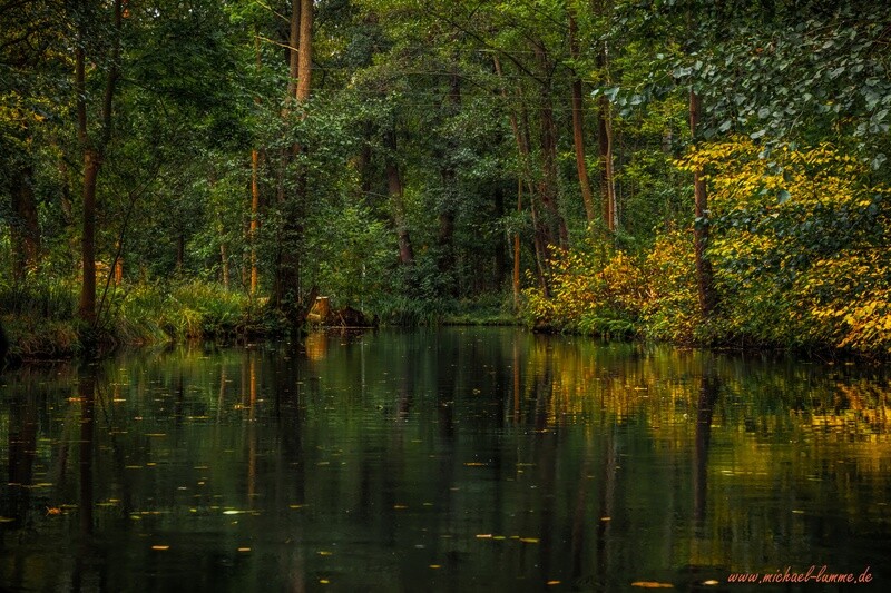 Der Spreewald