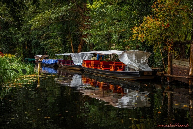 Eine Kahnfahrt im Spreewald