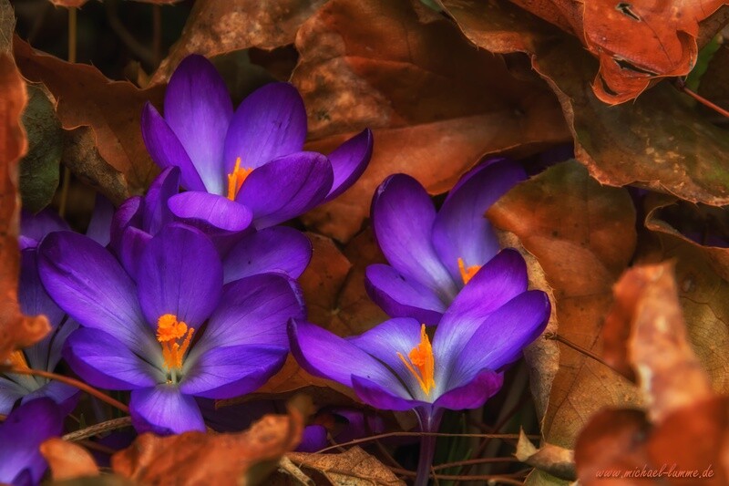 Frühling trifft Herbst