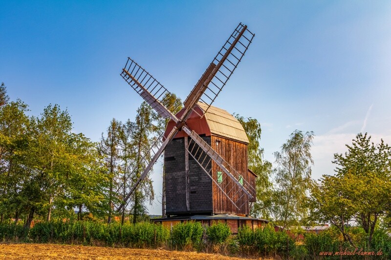 Bockwindmühle in Sargstedt