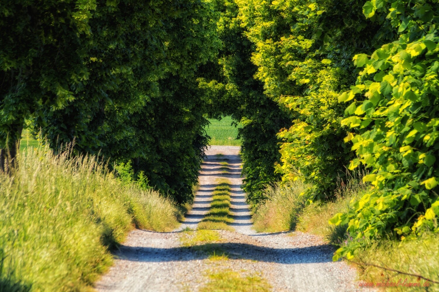 Am Gläsernen Mönch