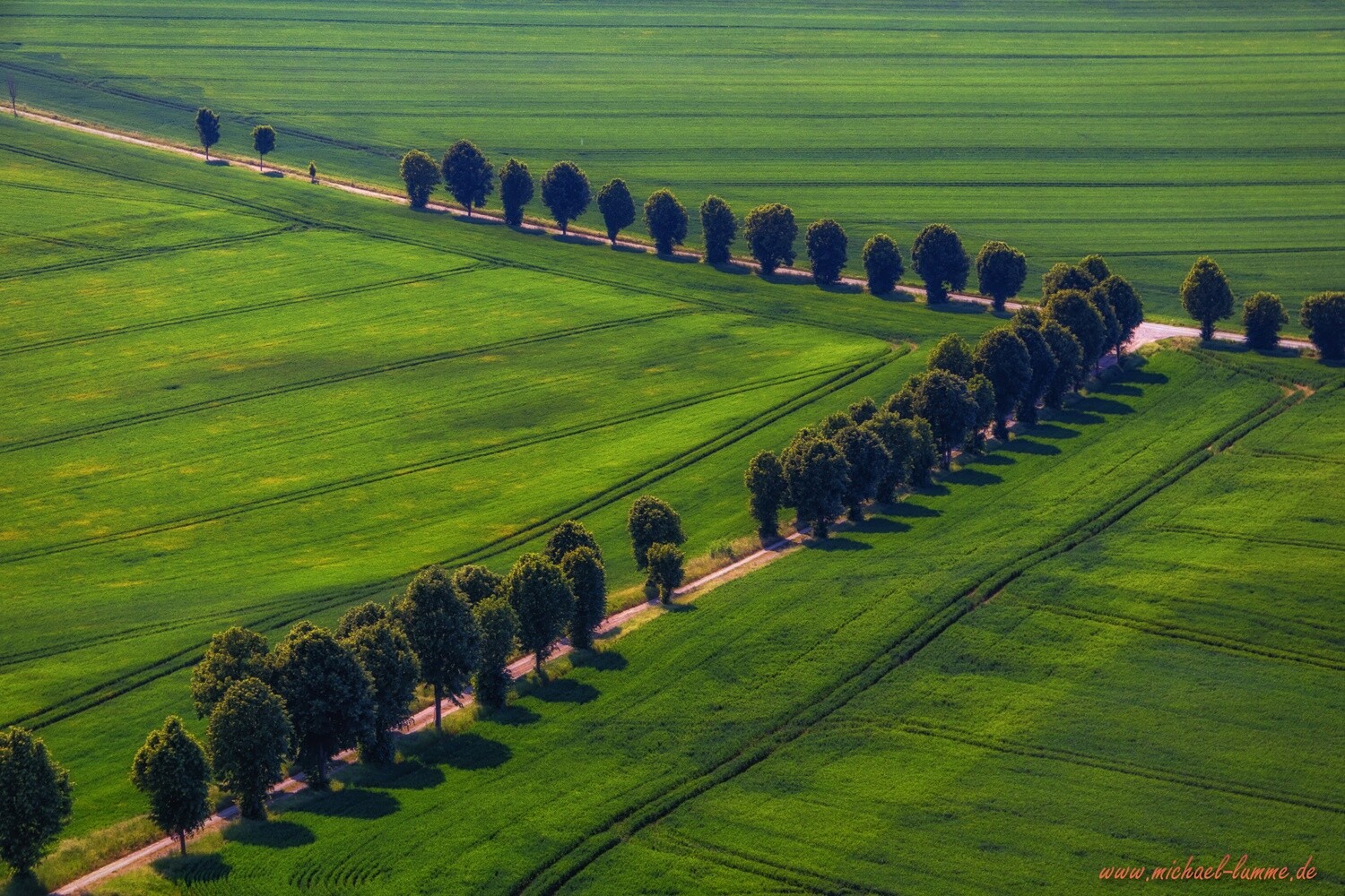 Aussicht vom Gläsernen Mönch