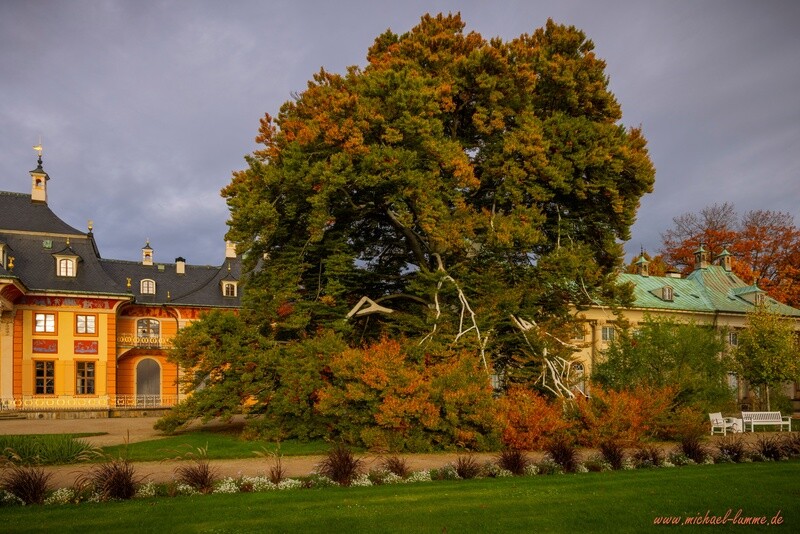 Schloss Pillnitz