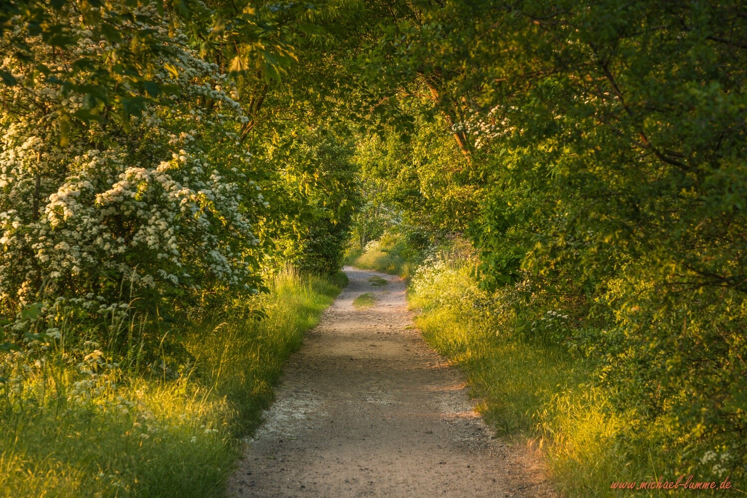 Wandern zum Kap Geinitzort