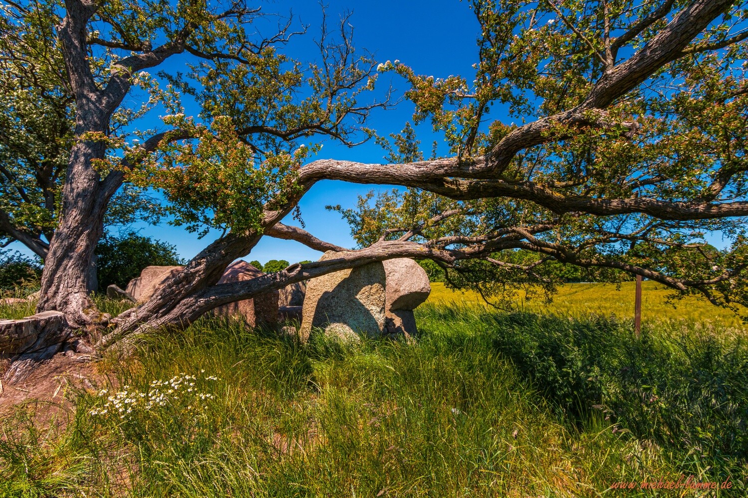 Großsteingräber bei Rerik
