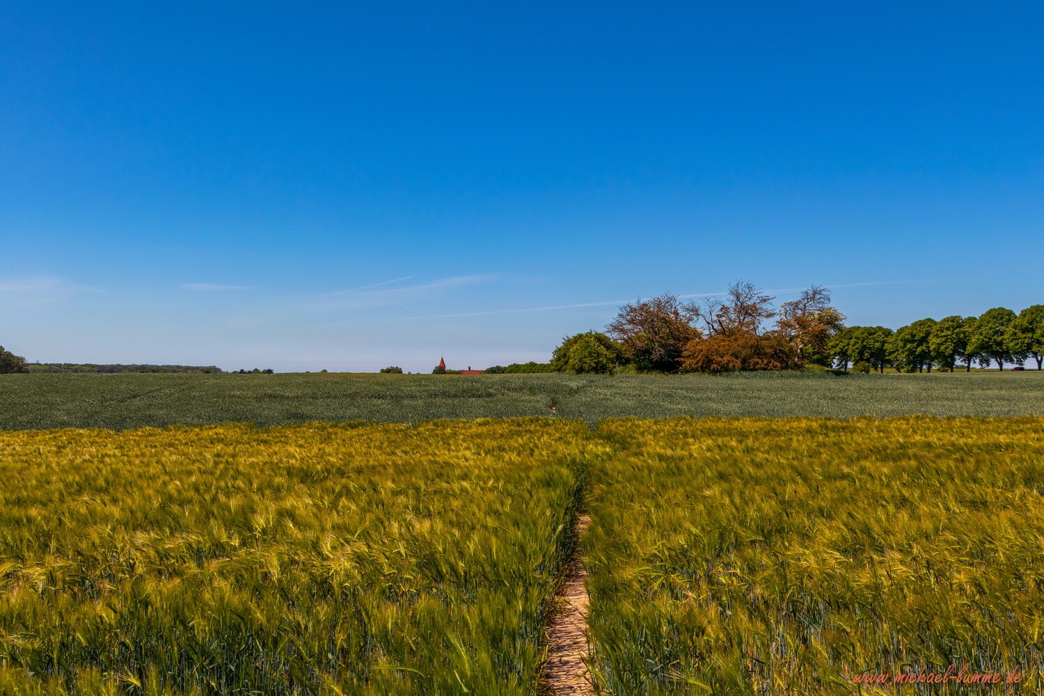 Großsteingräber bei Rerik