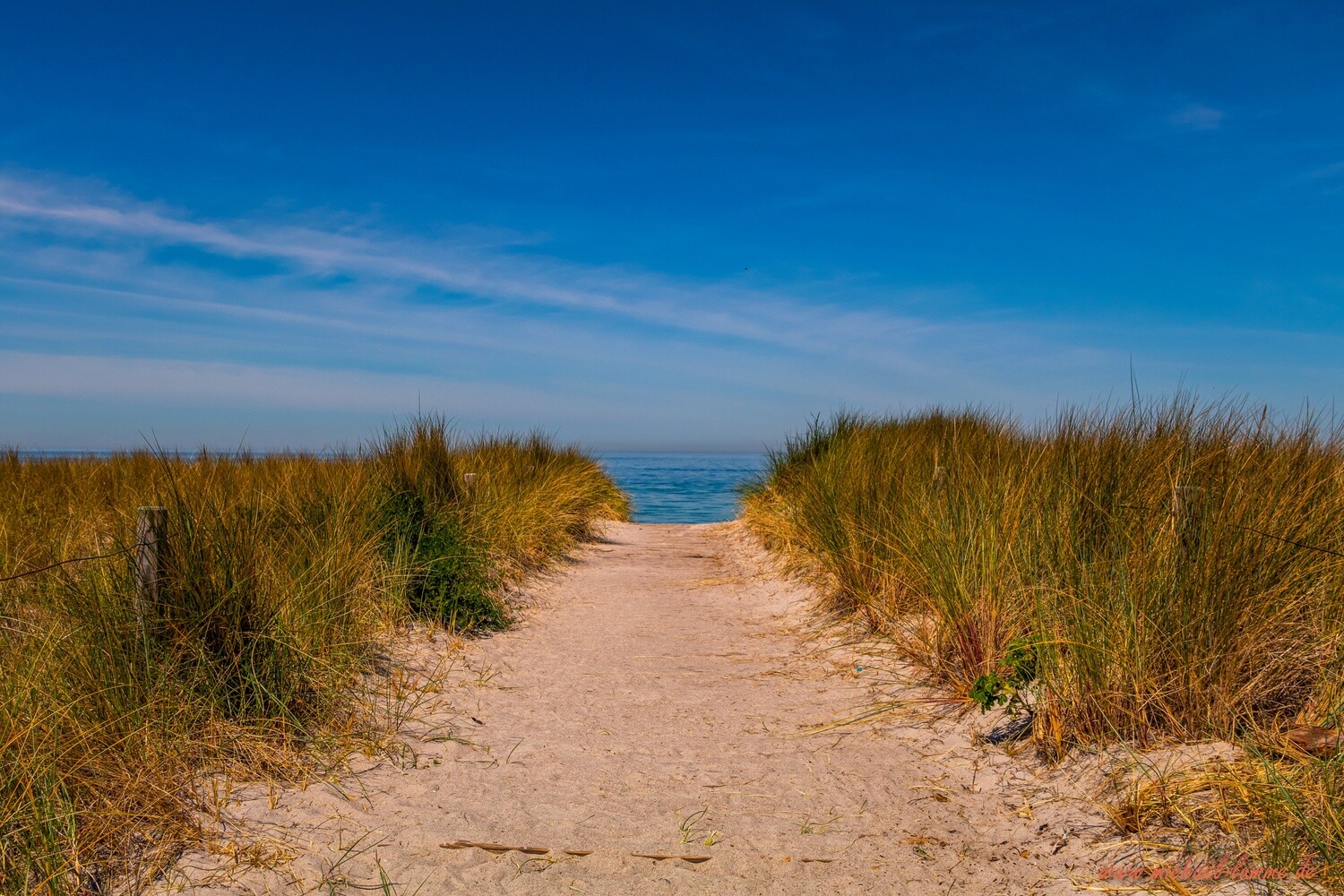 Am Strand von Rerik