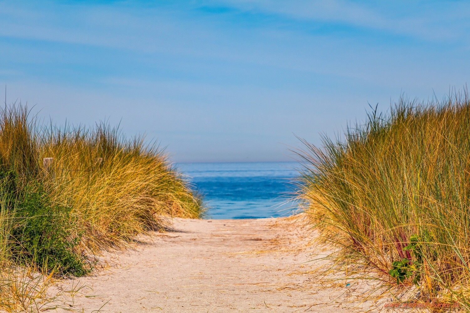 Am Strand von Rerik