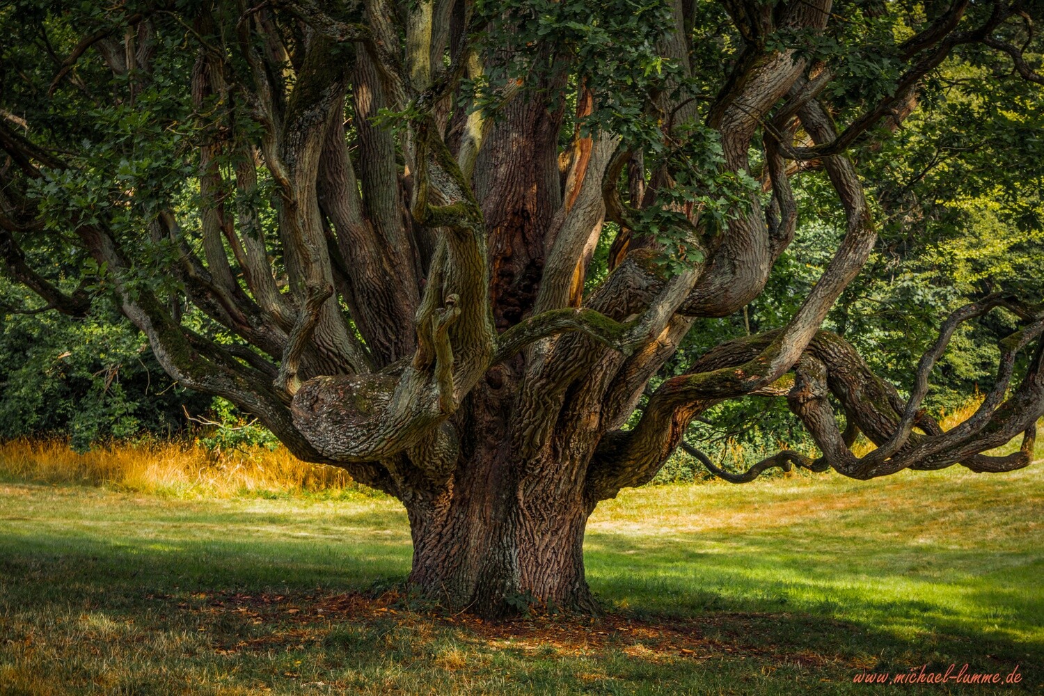 Im Schlosspark Ralswieck
