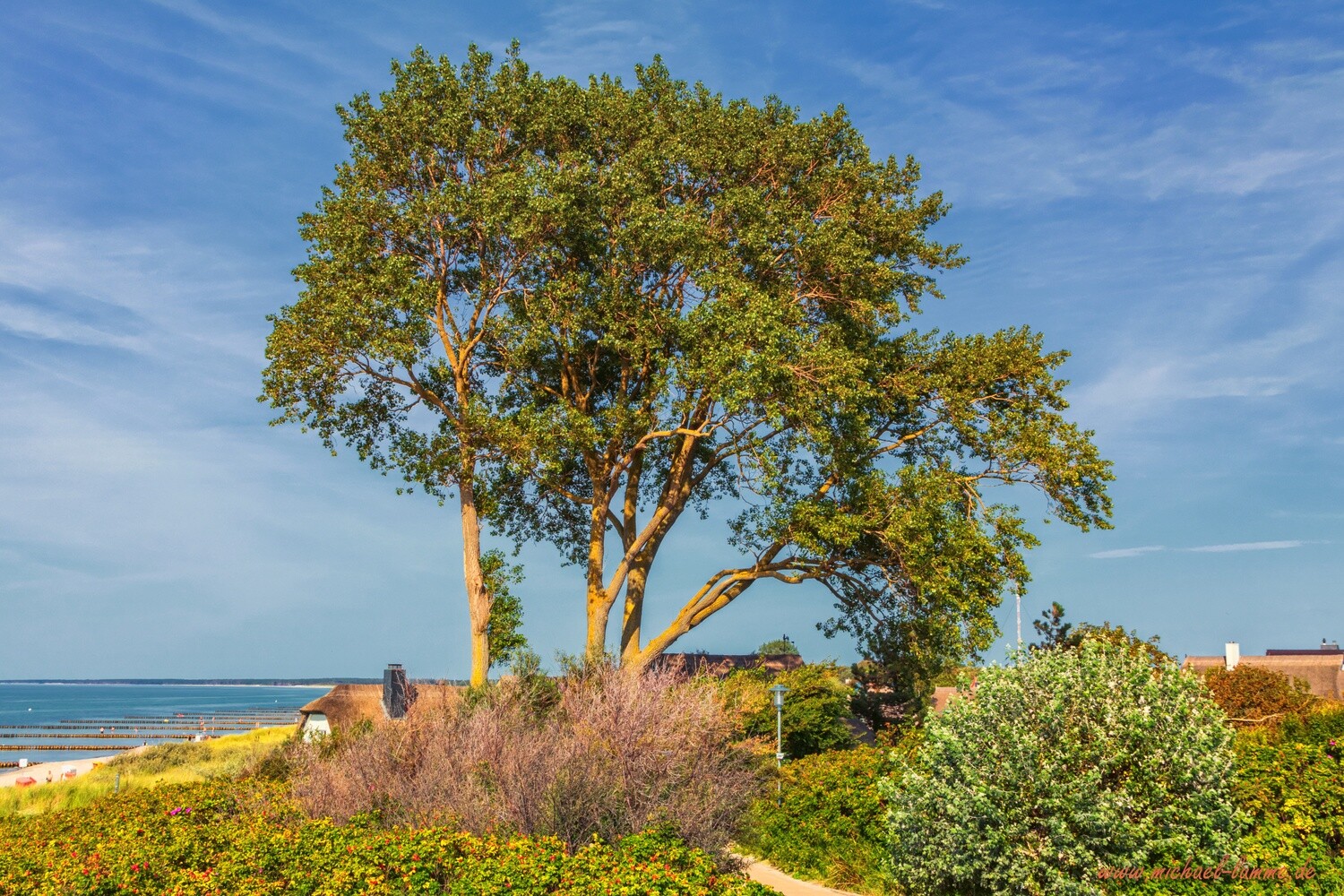 In Ahrenshoop