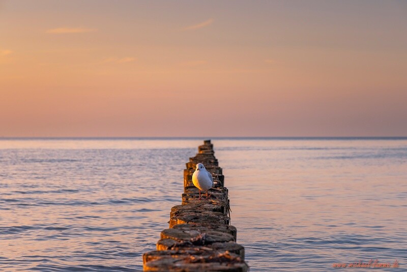 Am Strand von Zingst