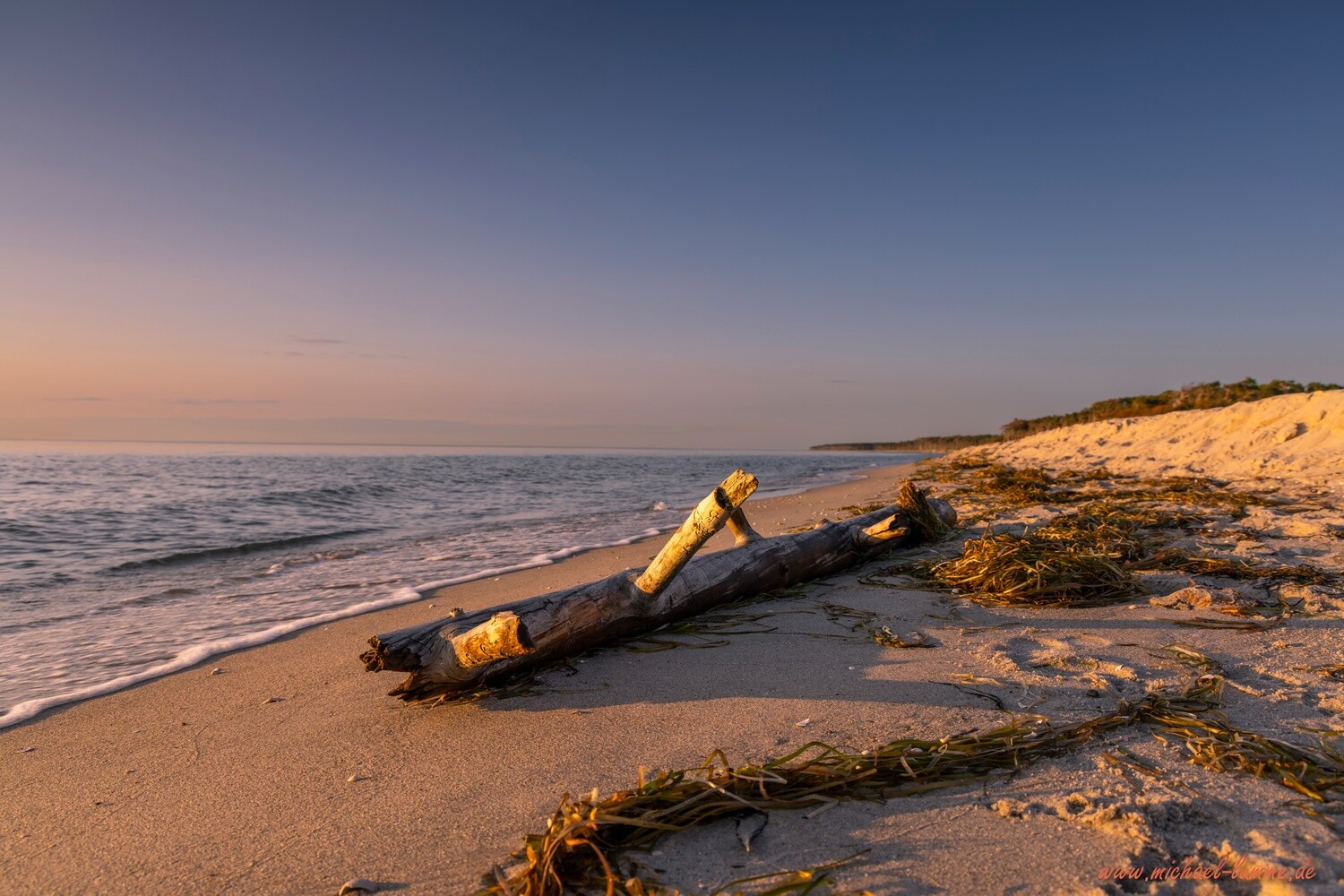 Strandgut am Weststrand