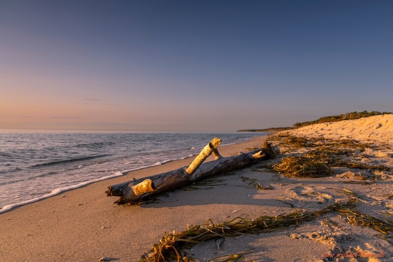 Strandgut am Weststrand