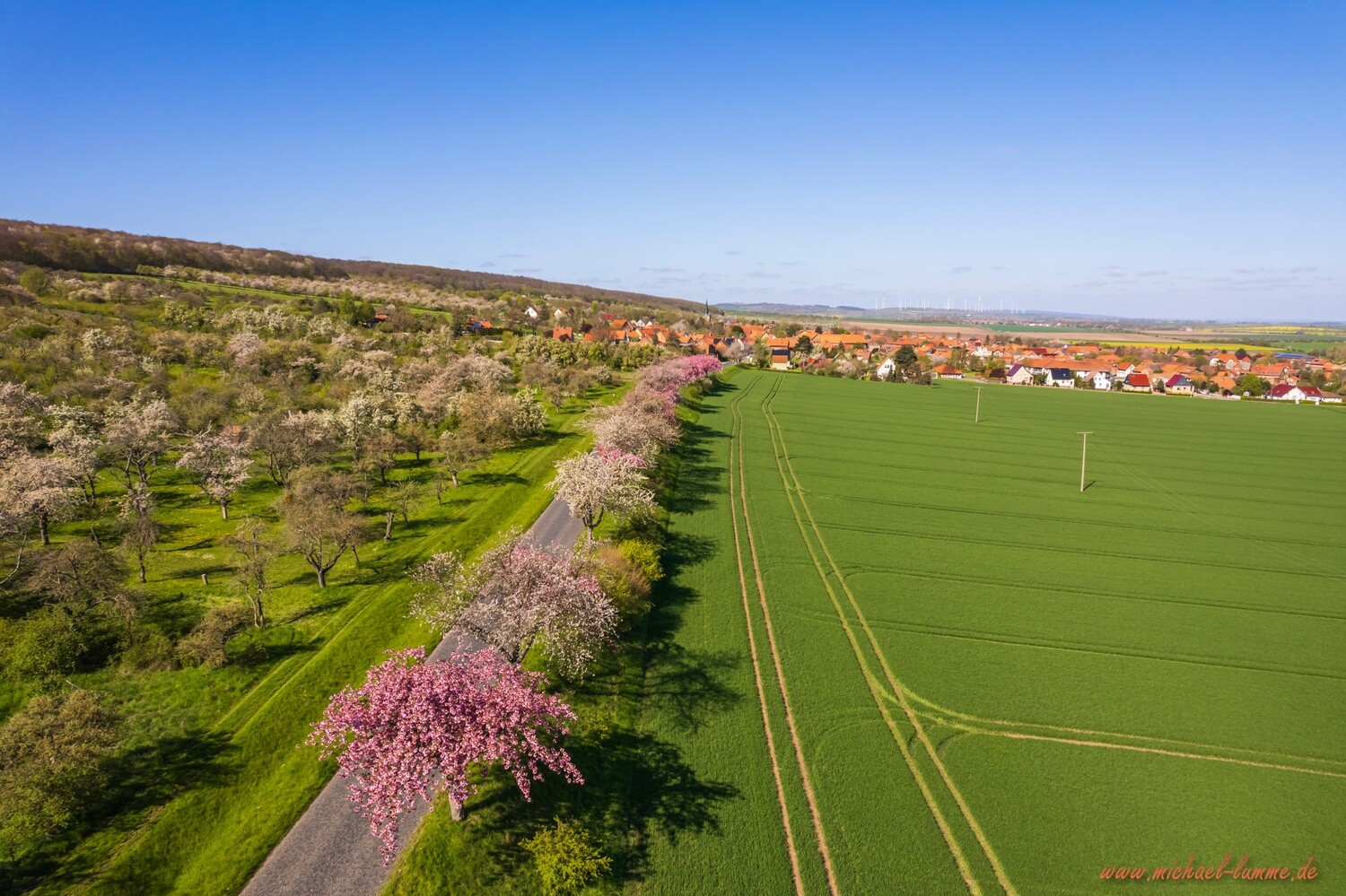 Dingelstedt im Frühling