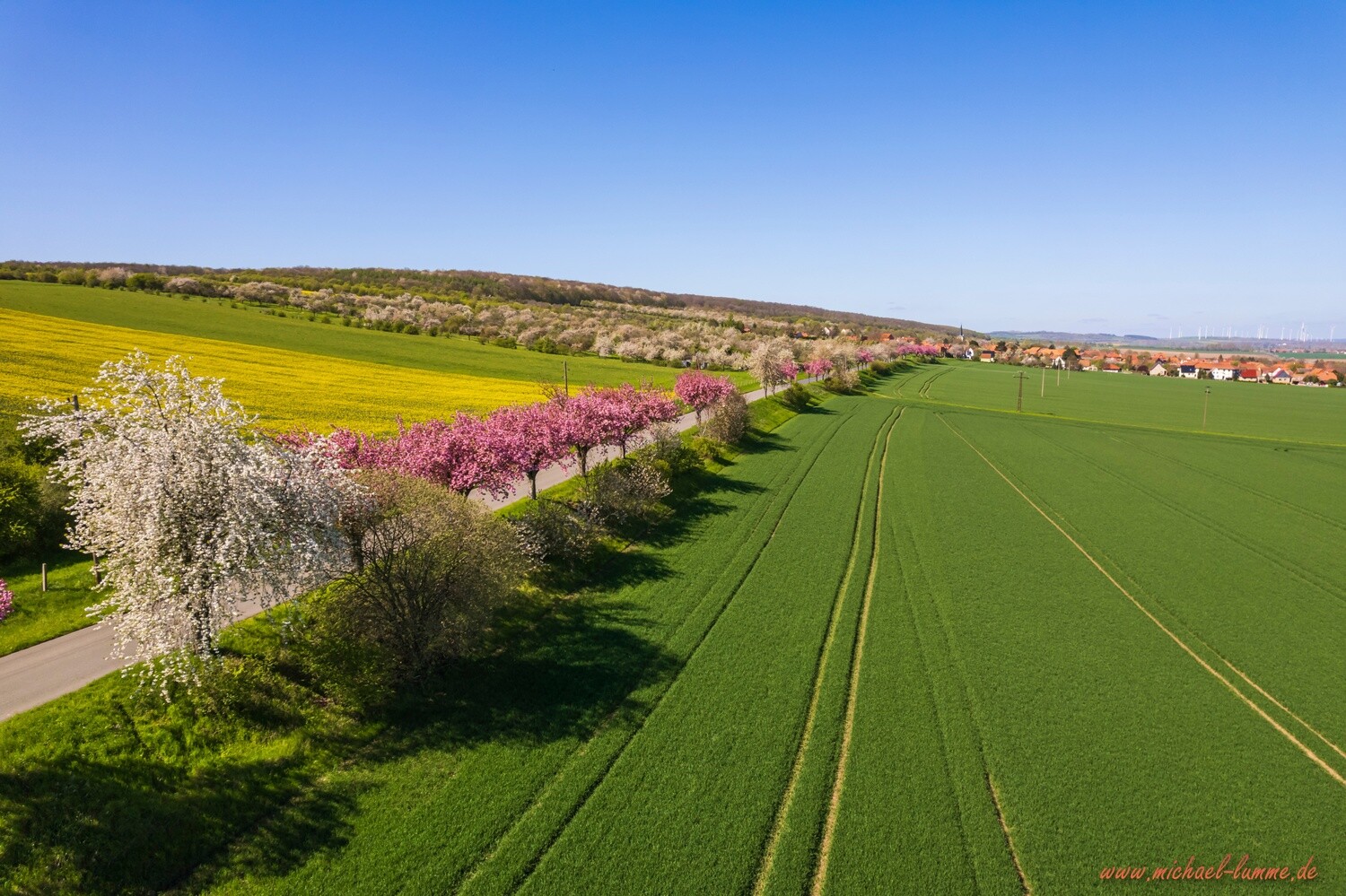 Dingelstedt im Frühling