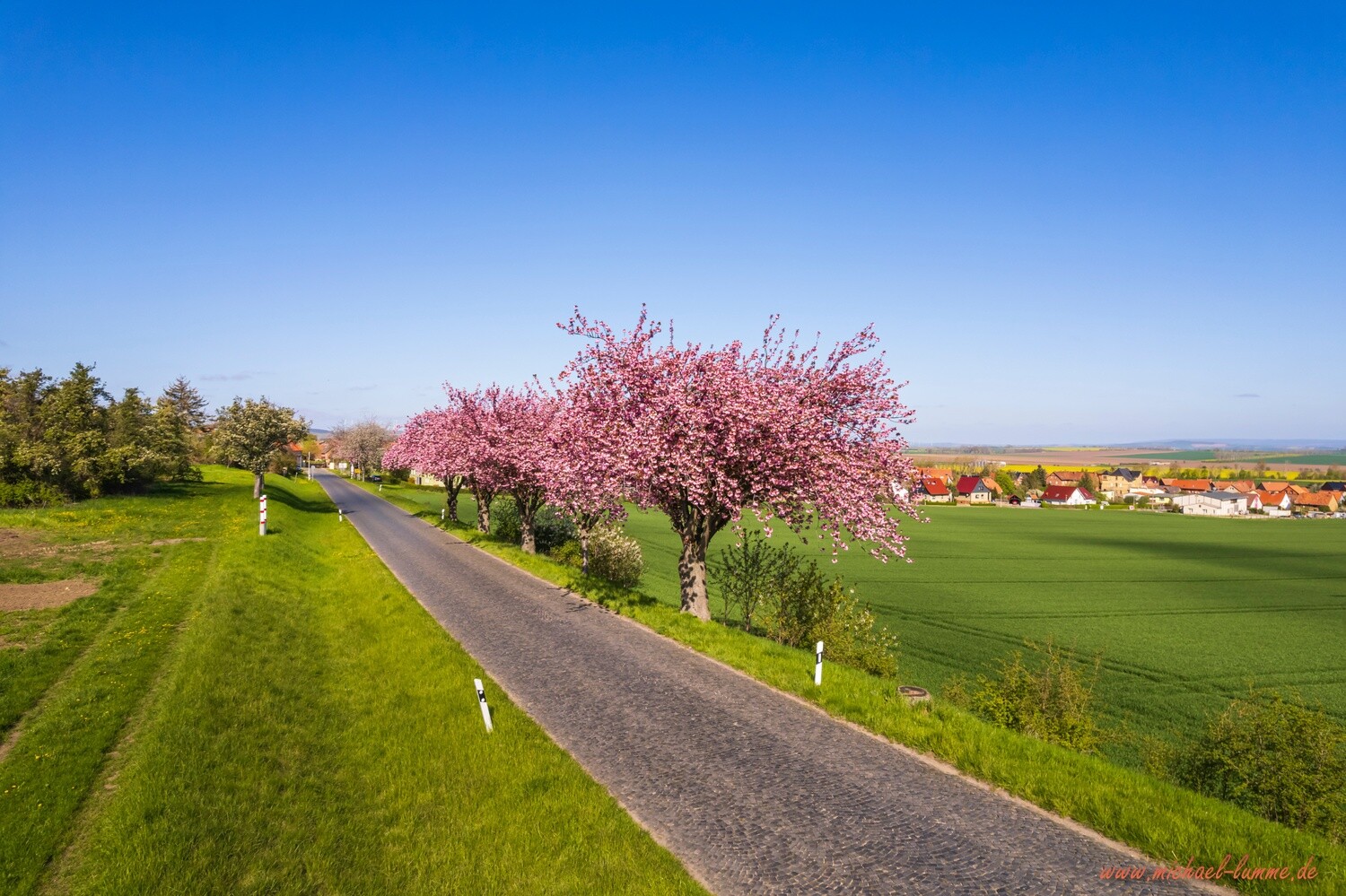 Dingelstedt im Frühling