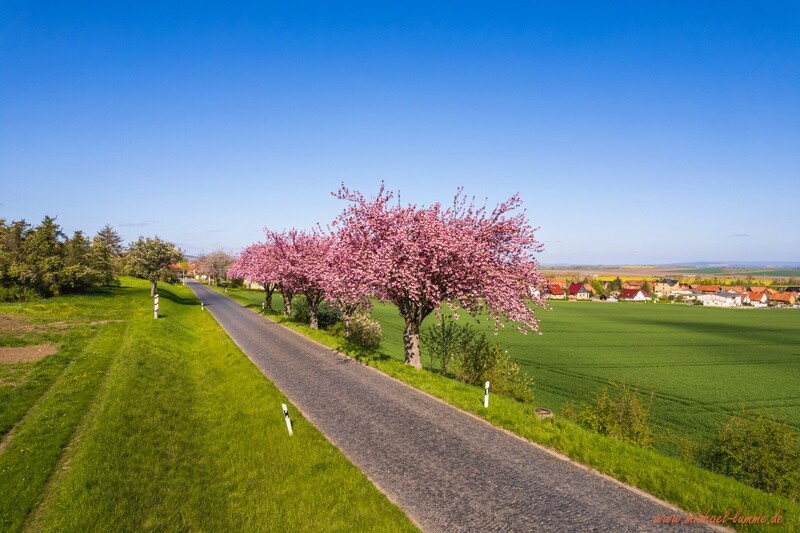 Dingelstedt im Frühling