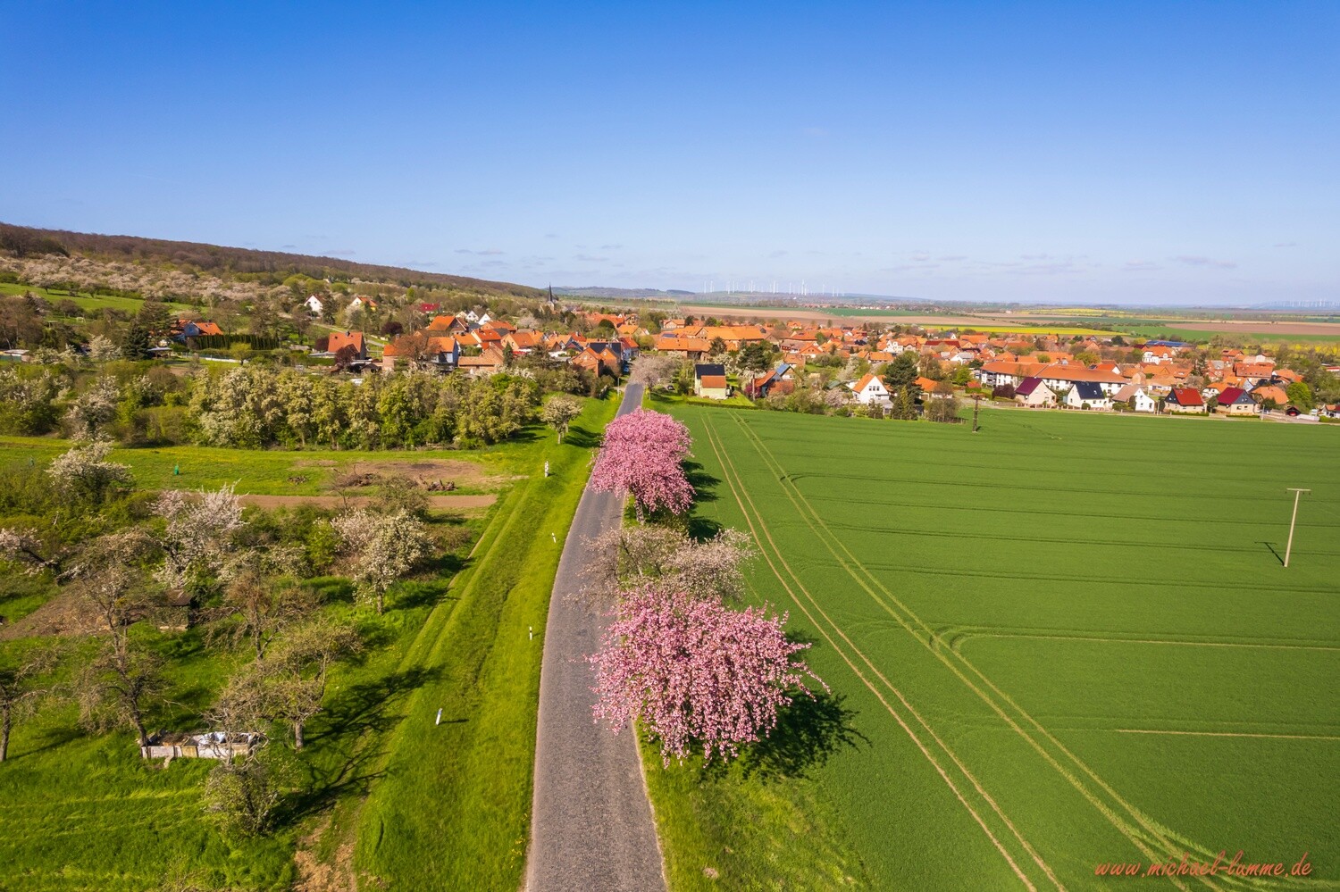 Dingelstedt im Frühling