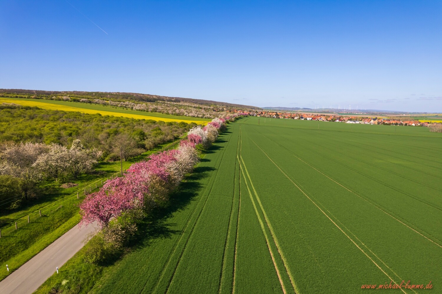 Dingelstedt im Frühling