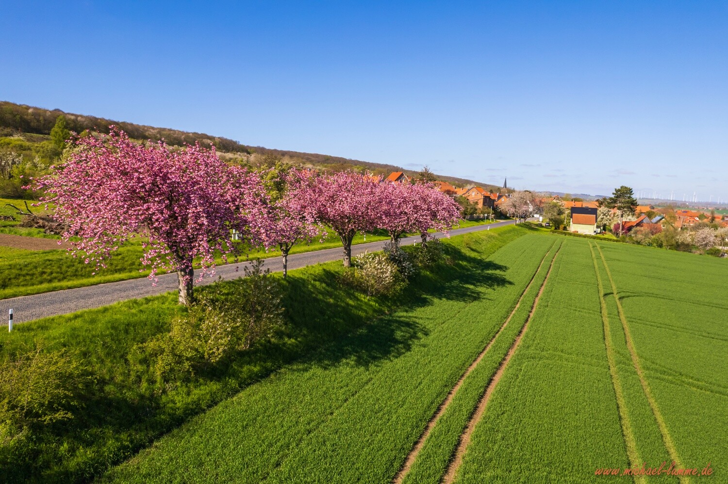 Dingelstedt im Frühling