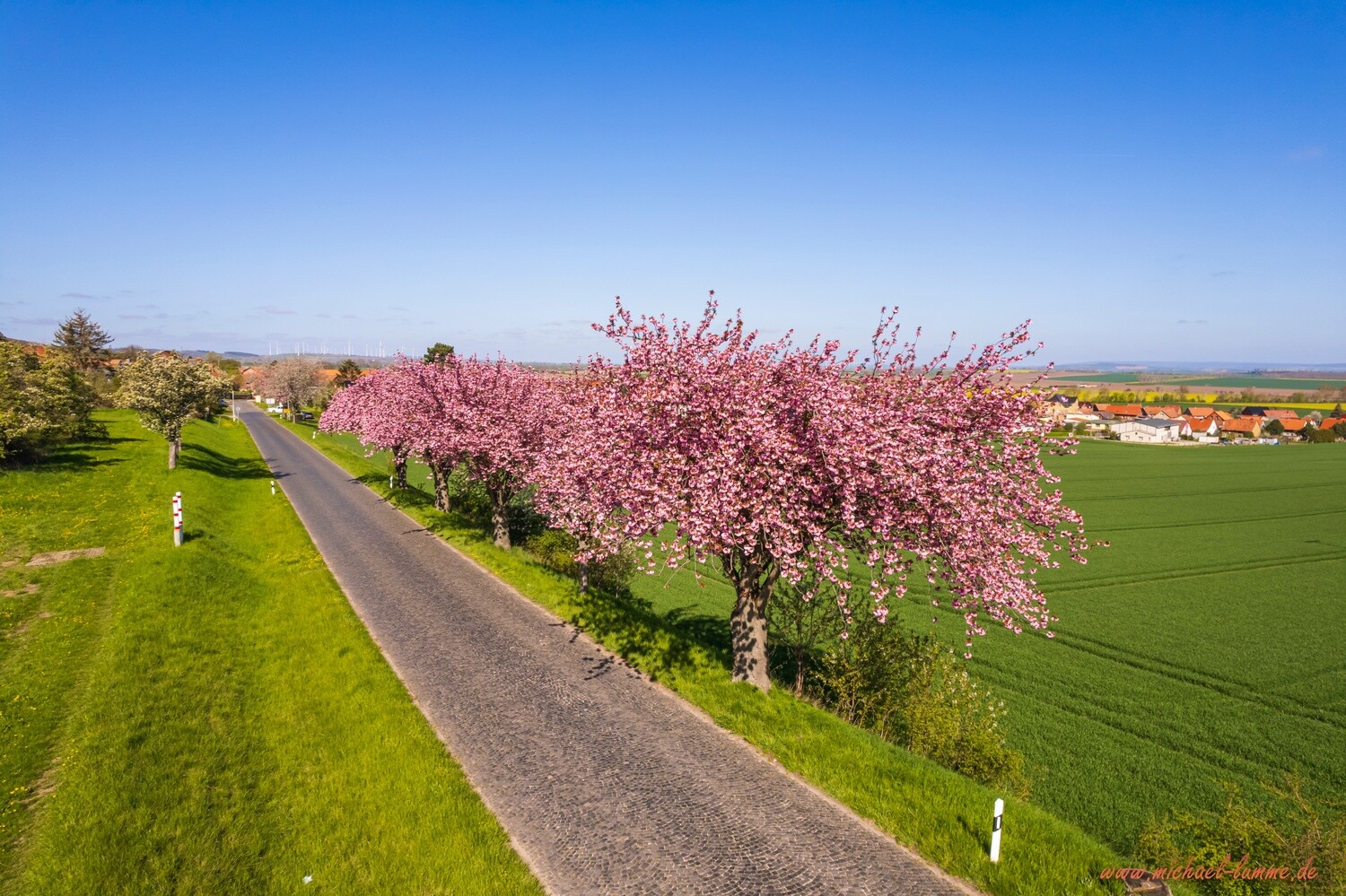 Dingelstedt im Frühling