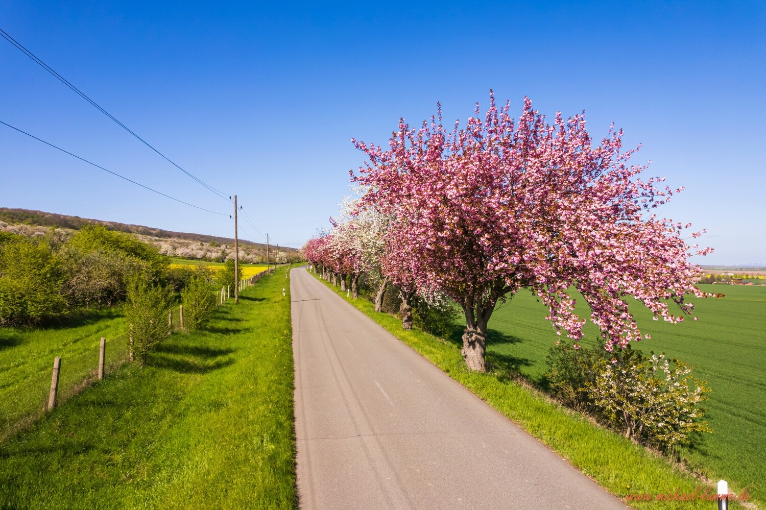 Dingelstedt im Frühling