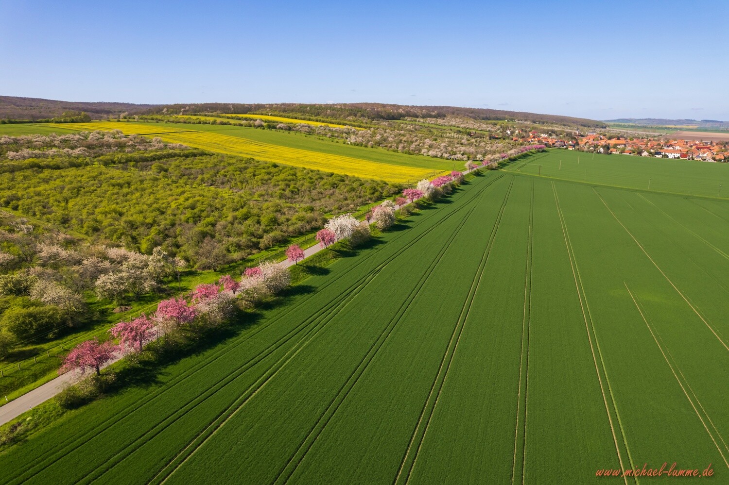 Dingelstedt im Frühling