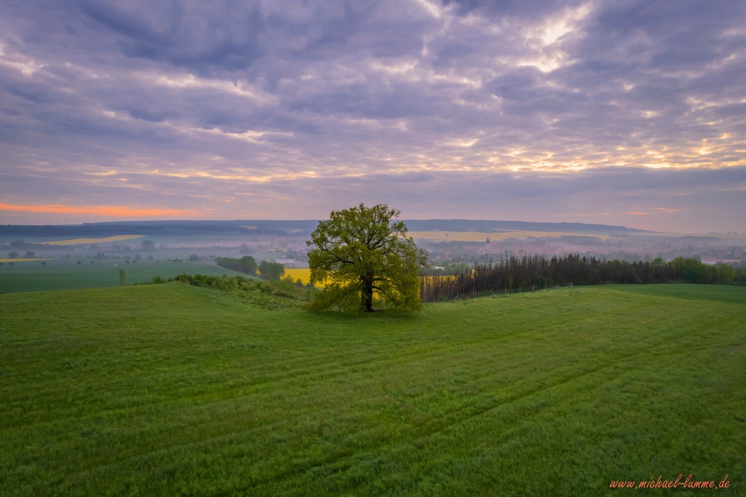 An der Kreuzeiche von Osterwieck