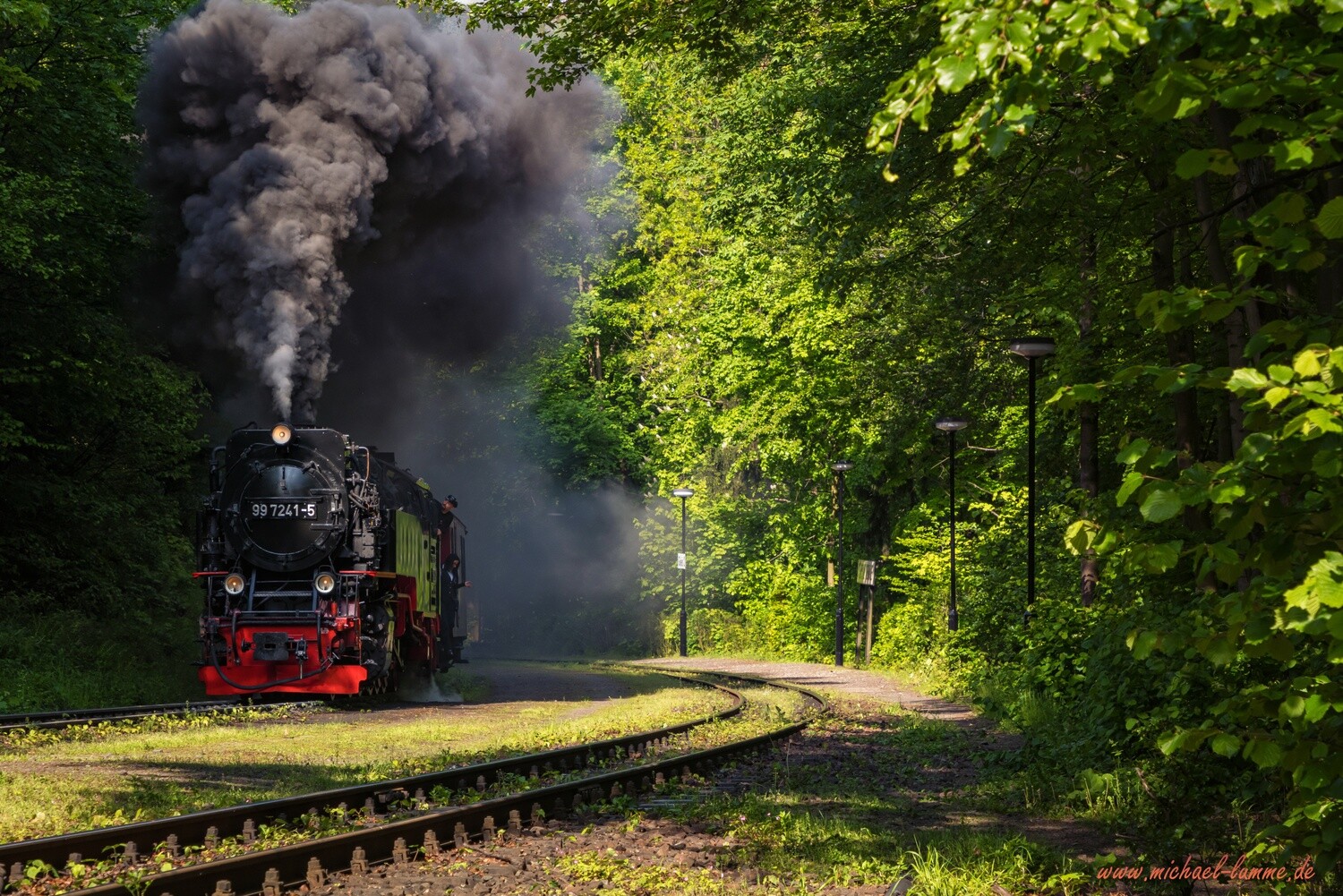 Die Brockenbahn im Bahnhof Steinerne Renne