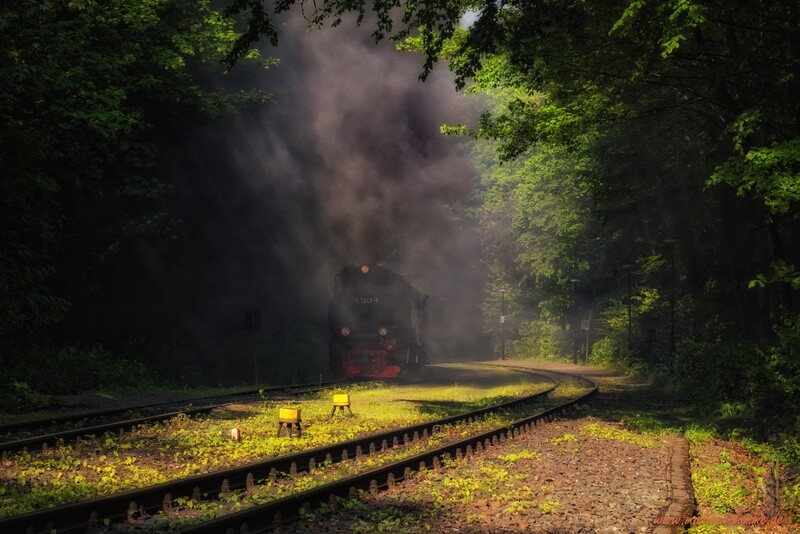 Die Brockenbahn im Bahnhof Steinerne Renne