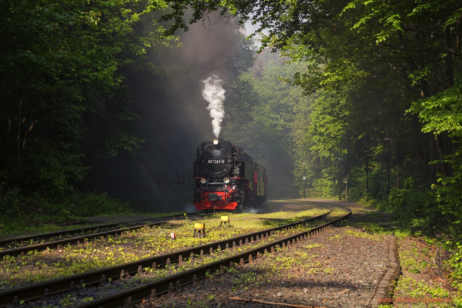Die Brockenbahn im Bahnhof Steinerne Renne