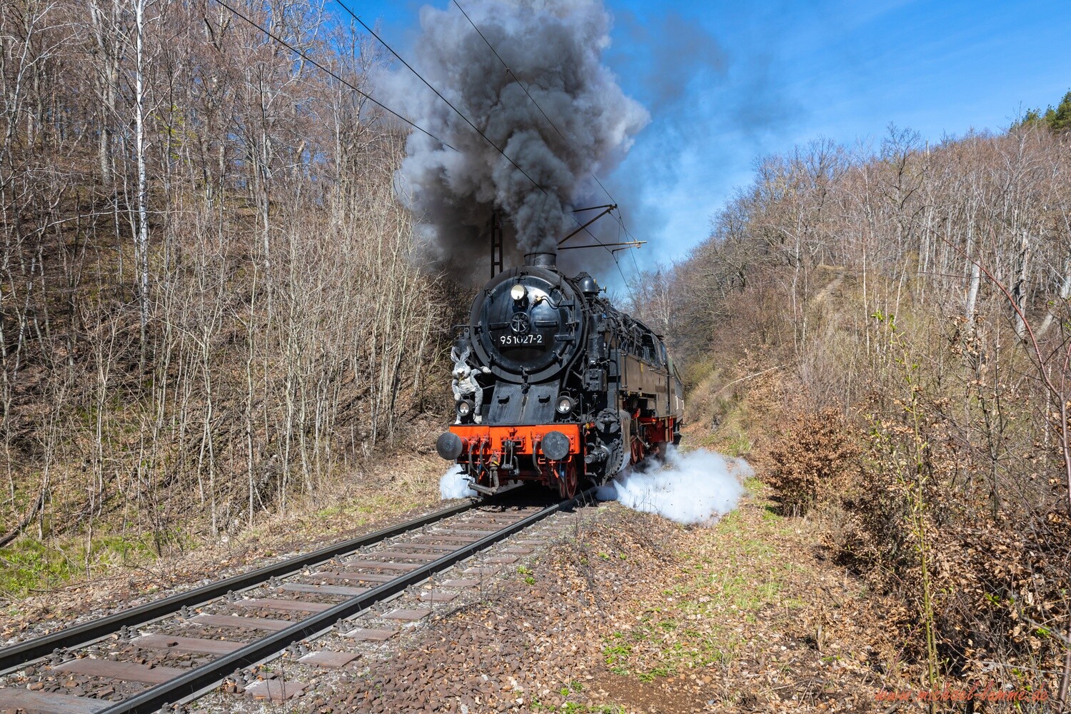 Die Bergkönigin der Arge Rübelandbahn