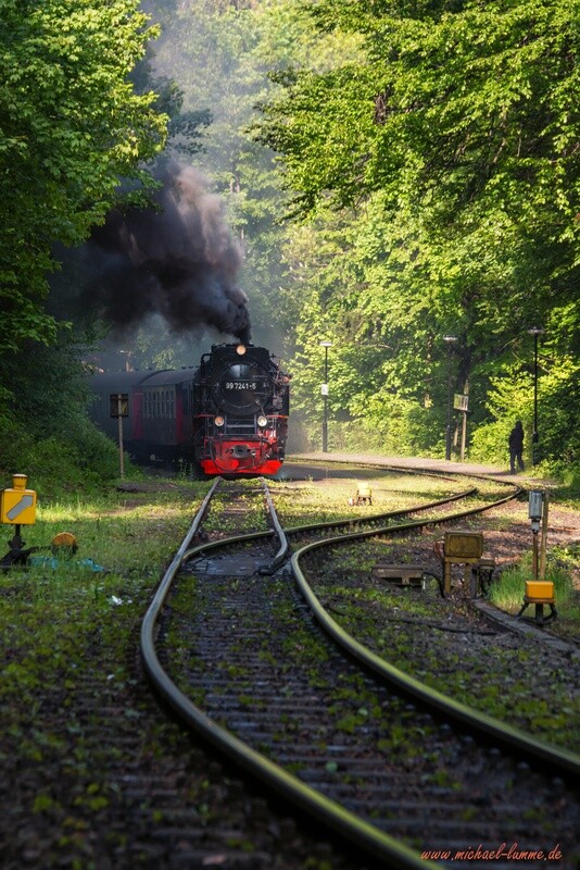 Die Brockenbahn im Bahnhof Steinerne Renne